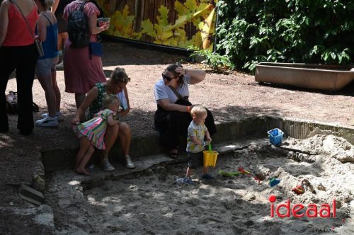 Koffieconcert in Toldijk - deel 2 (29-06-2025)