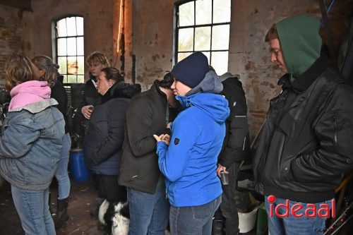 Nieuwjaarsduik bij Beekvliet (01-01-2026)