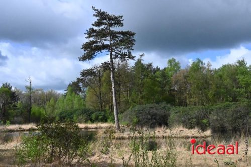 Wandeltocht Rondom Exel - deel 2 (19-04-2026)