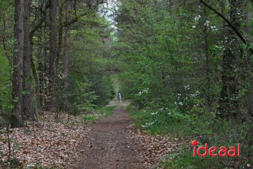 Wandeltocht Rondom Exel - deel 2 (19-04-2026)