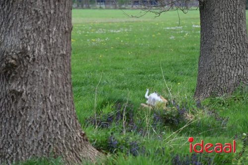 Wandeltocht Rondom Exel - deel 2 (19-04-2026)