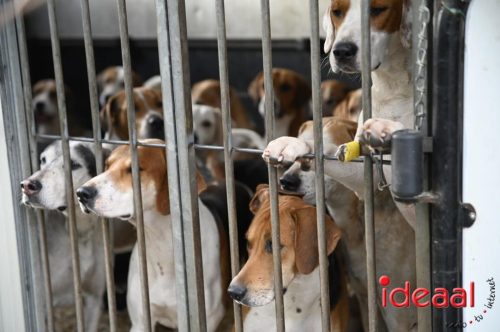 Slipjacht in Gelselaar (29-11-2025)