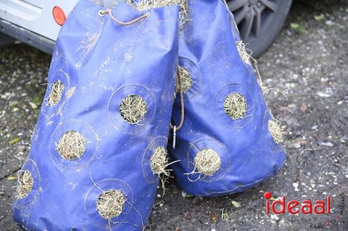 Slipjacht in Gelselaar (29-11-2025)