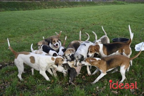 Slipjacht in Gelselaar (29-11-2025)