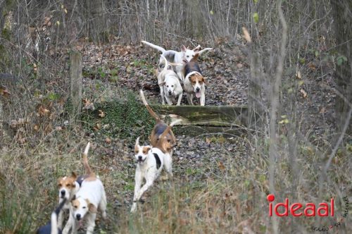 Slipjacht in Gelselaar (29-11-2025)