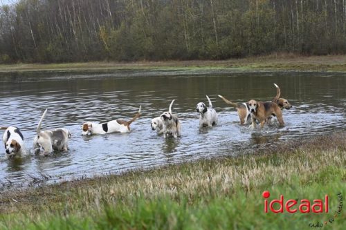 Slipjacht in Gelselaar (29-11-2025)