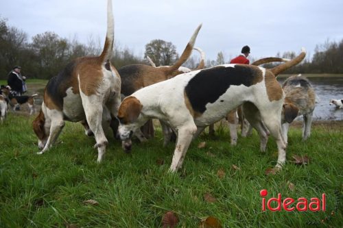 Slipjacht in Gelselaar (29-11-2025)