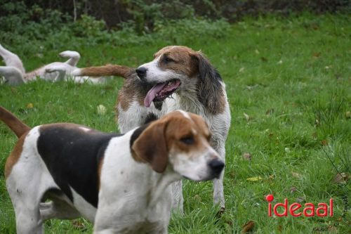 Slipjacht in Gelselaar (29-11-2025)