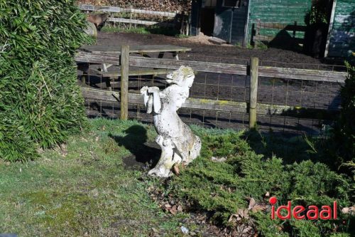 DOS Barchem | Winter 5 Maandse - deel 1 (15-03-2026)