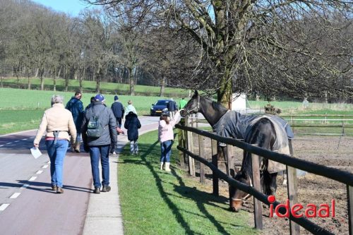 DOS Barchem | Winter 5 Maandse - deel 1 (15-03-2026)