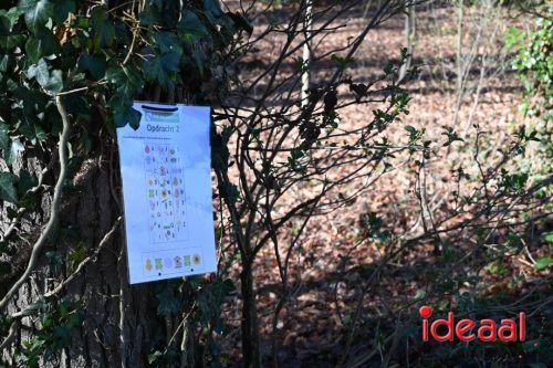 DOS Barchem | Winter 5 Maandse - deel 1 (15-03-2026)