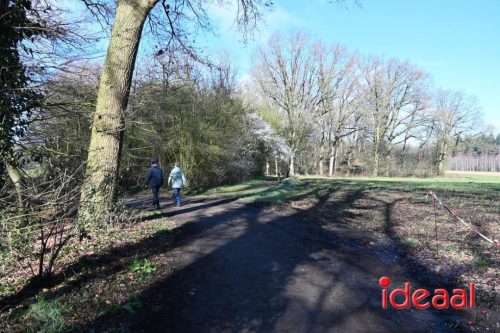 DOS Barchem | Winter 5 Maandse - deel 1 (15-03-2026)