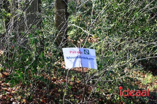 DOS Barchem | Winter 5 Maandse - deel 1 (15-03-2026)