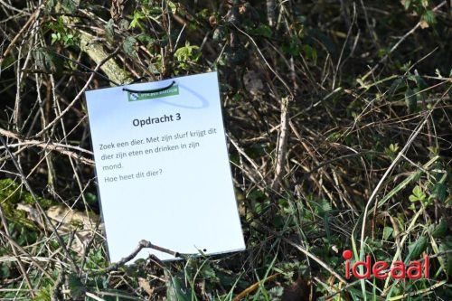 DOS Barchem | Winter 5 Maandse - deel 1 (15-03-2026)