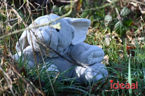 DOS Barchem | Winter 5 Maandse - deel 1 (15-03-2026)