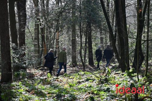 DOS Barchem | Winter 5 Maandse - deel 1 (15-03-2026)