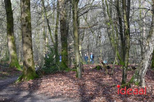 DOS Barchem | Winter 5 Maandse - deel 1 (15-03-2026)