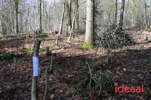 DOS Barchem | Winter 5 Maandse - deel 1 (15-03-2026)