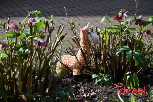 DOS Barchem | Winter 5 Maandse - deel 1 (15-03-2026)