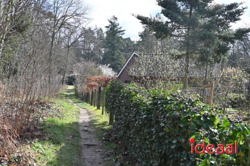 DOS Barchem | Winter 5 Maandse - deel 1 (15-03-2026)