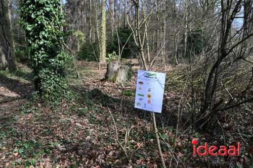 DOS Barchem | Winter 5 Maandse - deel 2 (15-03-2026)