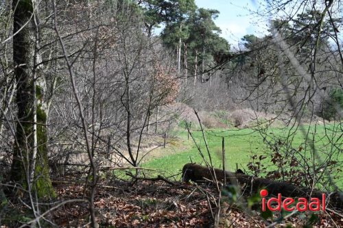 DOS Barchem | Winter 5 Maandse - deel 2 (15-03-2026)