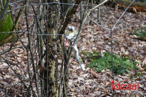 DOS Barchem | Winter 5 Maandse - deel 2 (15-03-2026)