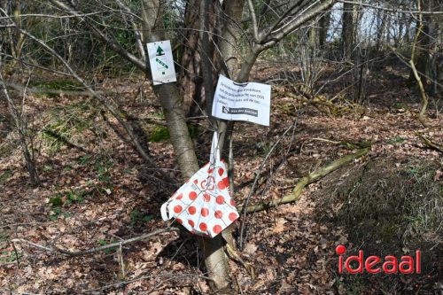 DOS Barchem | Winter 5 Maandse - deel 2 (15-03-2026)