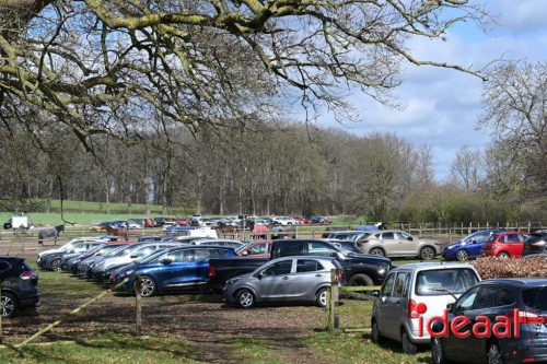 DOS Barchem | Winter 5 Maandse - deel 2 (15-03-2026)