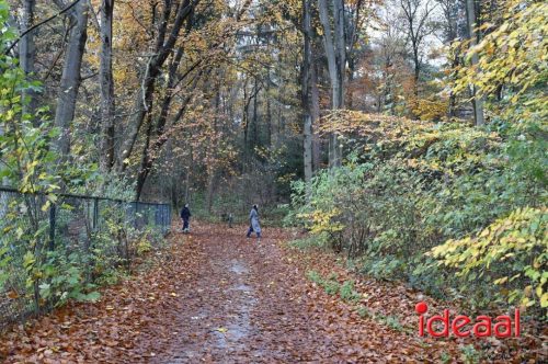 Winter5Maandse in Barchem - deel 2 (16-11-2025)