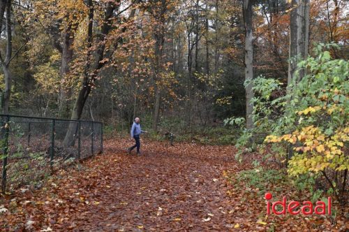 Winter5Maandse in Barchem - deel 2 (16-11-2025)