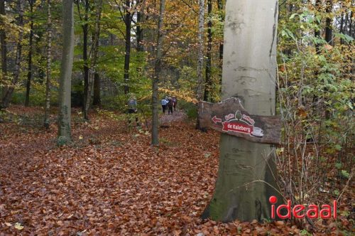 Winter5Maandse in Barchem - deel 2 (16-11-2025)