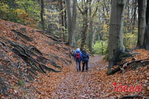 Winter5Maandse in Barchem - deel 2 (16-11-2025)