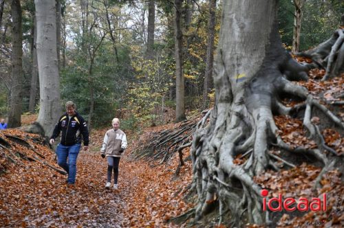 Winter5Maandse in Barchem - deel 2 (16-11-2025)