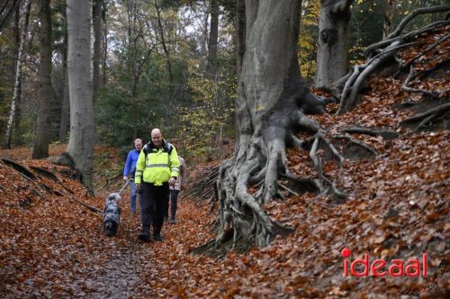 Winter5Maandse in Barchem - deel 2 (16-11-2025)