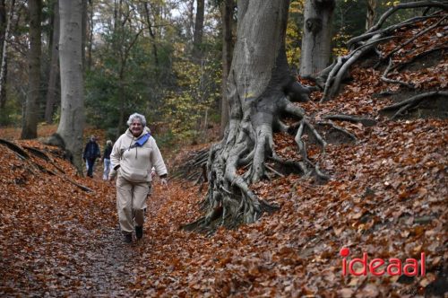 Winter5Maandse in Barchem - deel 2 (16-11-2025)