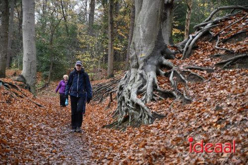 Winter5Maandse in Barchem - deel 2 (16-11-2025)