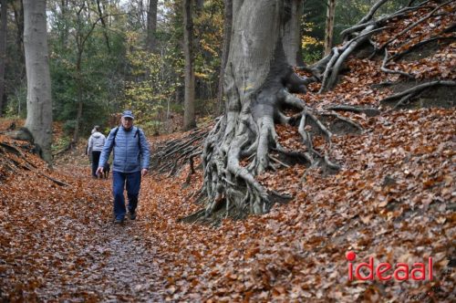 Winter5Maandse in Barchem - deel 2 (16-11-2025)