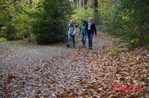 Winter5Maandse in Barchem - deel 2 (16-11-2025)