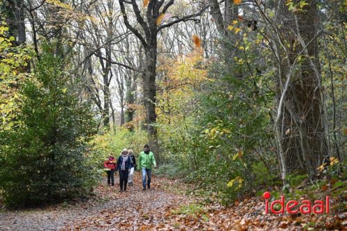 Winter5Maandse in Barchem - deel 2 (16-11-2025)