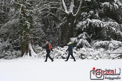 Winterwandeling Laren (04-01-2026)