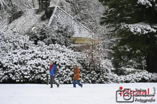 Winterwandeling Laren (04-01-2026)