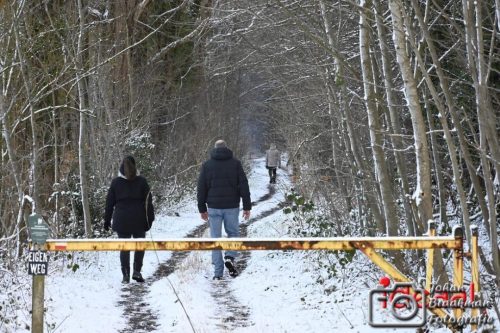 Winterwandeling Laren (04-01-2026)