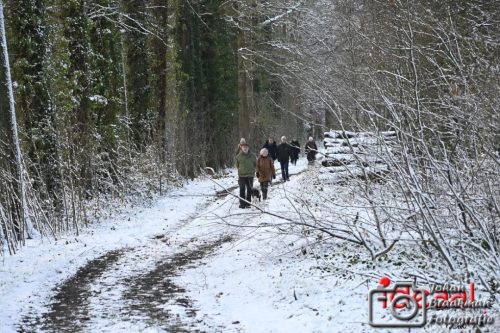 Winterwandeling Laren (04-01-2026)