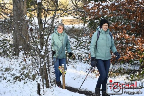 Winterwandeling Laren (04-01-2026)