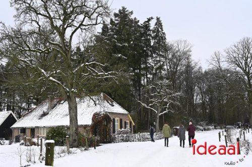 Winterwandeling Wildenborch (04-01-2026)