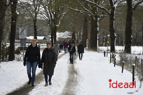 Winterwandeling Wildenborch (04-01-2026)