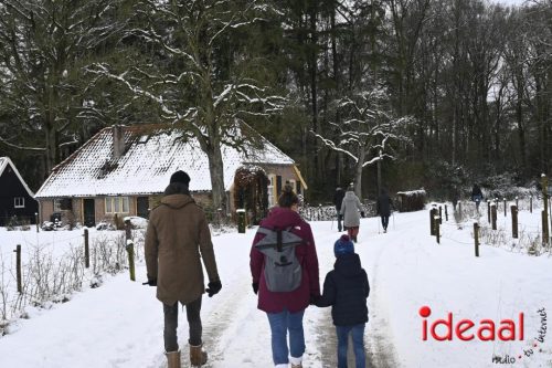 Winterwandeling Wildenborch (04-01-2026)