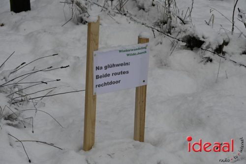 Winterwandeling Wildenborch (04-01-2026)