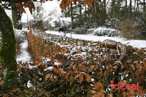Winterwandeling Wildenborch (04-01-2026)